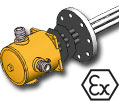 thermoplongeur atex sur bride
